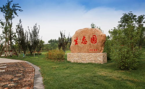 邯郸这个地方出名了 黑色矿渣山逆袭成 绿富美 生态园
