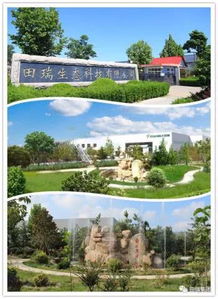 春天赏花 踏青来田瑞生态园,感受美不胜收的生态景观