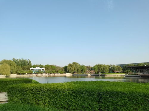 保定市农业生态园门票,保定市农业生态园游玩攻略 360地图