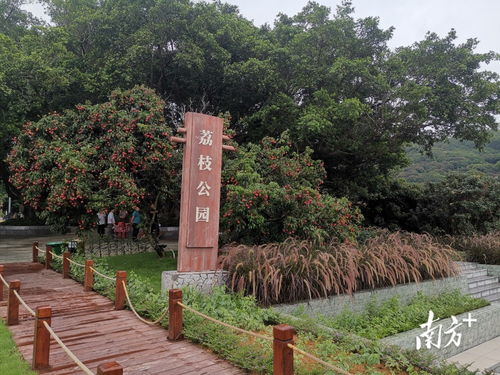 汕尾市城区这两条示范带, 带 出多个美丽乡村