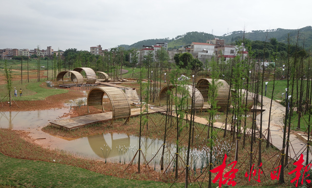 亲水景观点缀湿地生态园