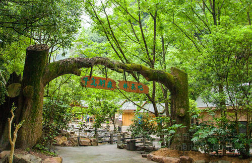 千岛湖森林氧吧