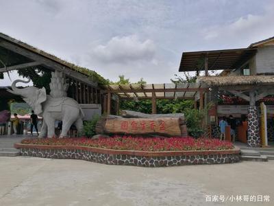 广东佛山高明盈香生态园