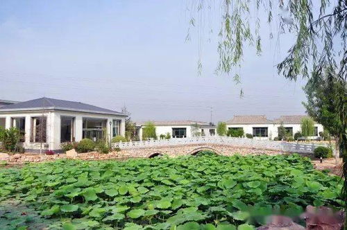 沙河 两家园区获a等次