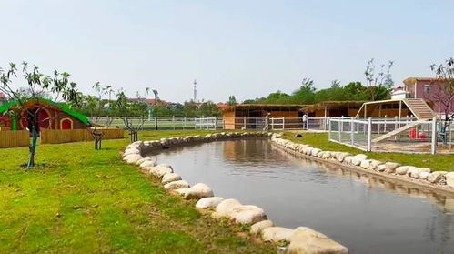 自驾到武汉蔡甸这座生态园 体验土灶做饭烧菜,还有特色露营区