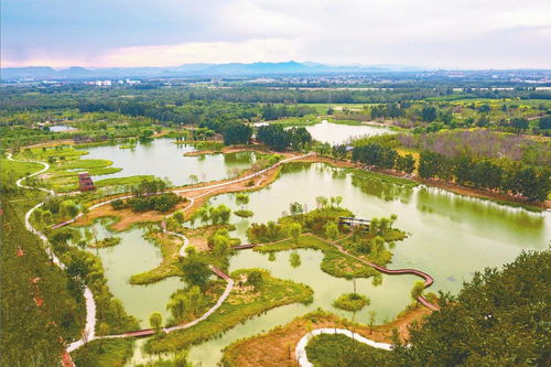 水清树茂生态园