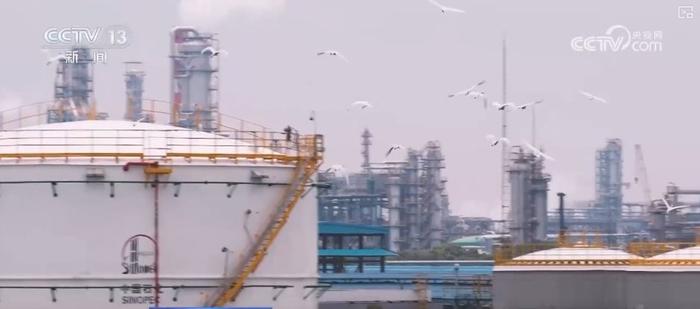 炼化工厂成鸟儿新“家” “绿色工厂”尽显工业之美与生态和谐