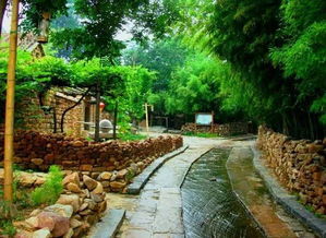 竹泉村与兰陵生态园两日游 探秘自然生态与人文风情