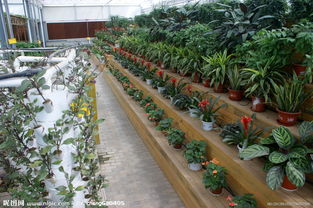 生态园区 绿色发展的视觉盛宴与实践探索