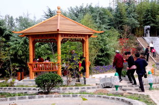 生态园新添景点 自然与人文的完美融合