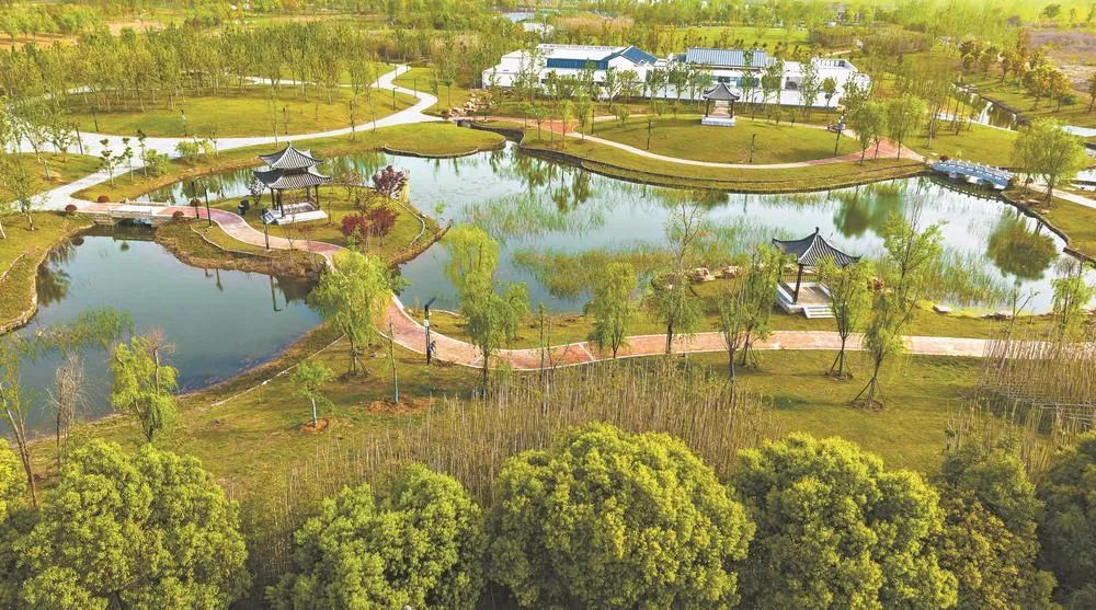 鱼梁洲中央生态公园 城市绿肺焕新颜，生态园即将盛大启幕