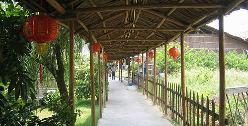 盈香生态园门票全攻略 预订方式、价格信息与游玩指南