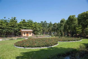 麻涌最美生态园 免费入园，尽享自然馈赠