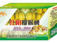 桂林绿色香生态园 山水间的生态绿洲，可持续发展的文旅新名片