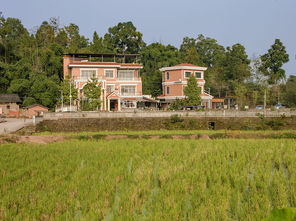 百信农业生态园 打造百姓信任的生态家园