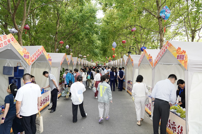 金山启动“丰收狂欢盛宴”，8天近20项活动邀市民打卡“魔都后花园”生态园