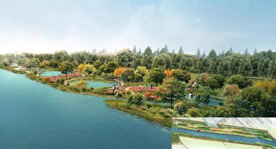 焕新升级！北辰郊野公园变身生态乐园，樱花园与童趣天地惊艳亮相