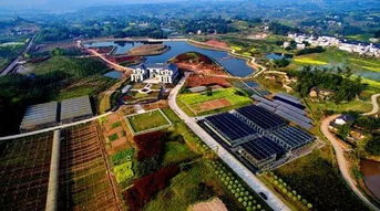 小长假未尽兴 江津5月旅游季才刚刚开始 生态园推荐