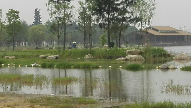 胜地公园 吴江最大的生态园——吴江5日生态游记