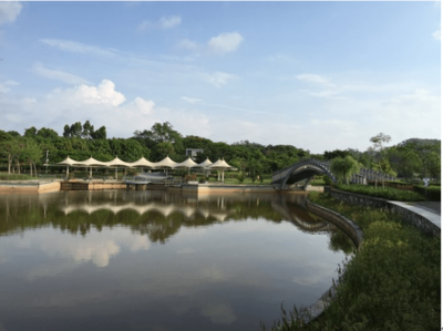 东进下的坪山，你还认识吗？探秘生态园新篇