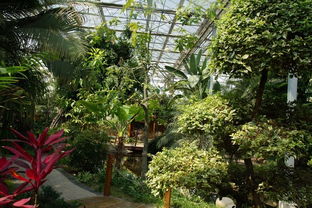 太仓鹭园湿地生态园 城市绿肺与自然交响的诗意栖居